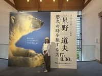 自然写真家　星野道夫さん展にいって大自然の迫力を感じてきました